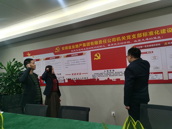 安徽鹽業(yè)地產(chǎn)集團機關第一黨支部開展“佩黨徽、誦誓詞、贈黨章、上黨課”黨員教育活動