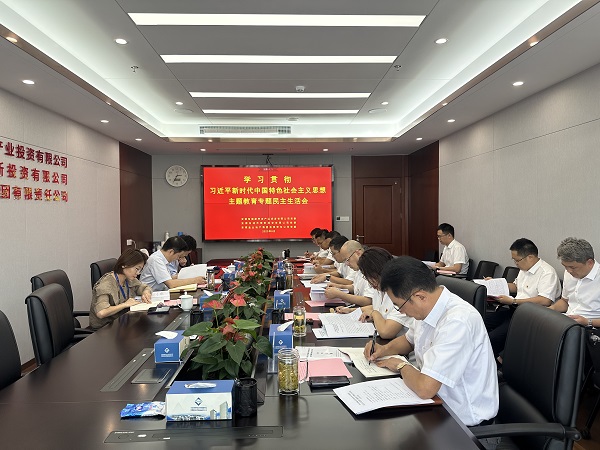 安徽鹽業(yè)地產(chǎn)集團等三家公司黨委召開學習貫徹習近平新時代中國特色社會主義思想主題教育專題民主生活會